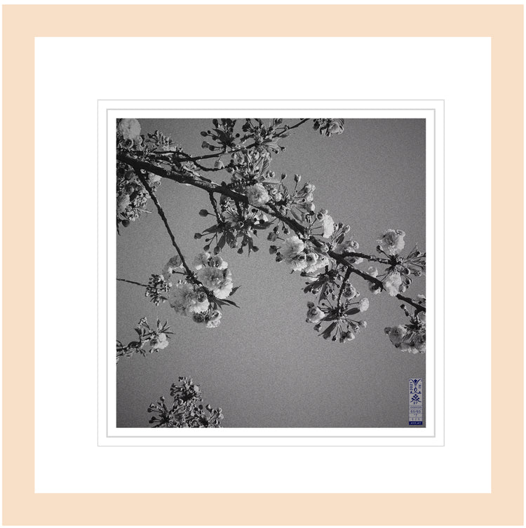 Fine-art Prints