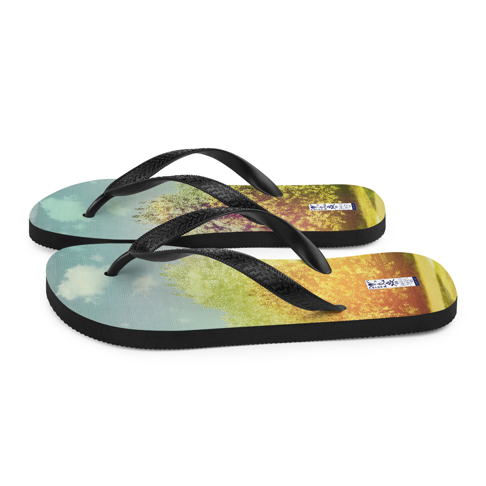 Flip-Flops 'Abundance 1/21' artist-authorised edition of original artwork by Enmempin N. Midelobo