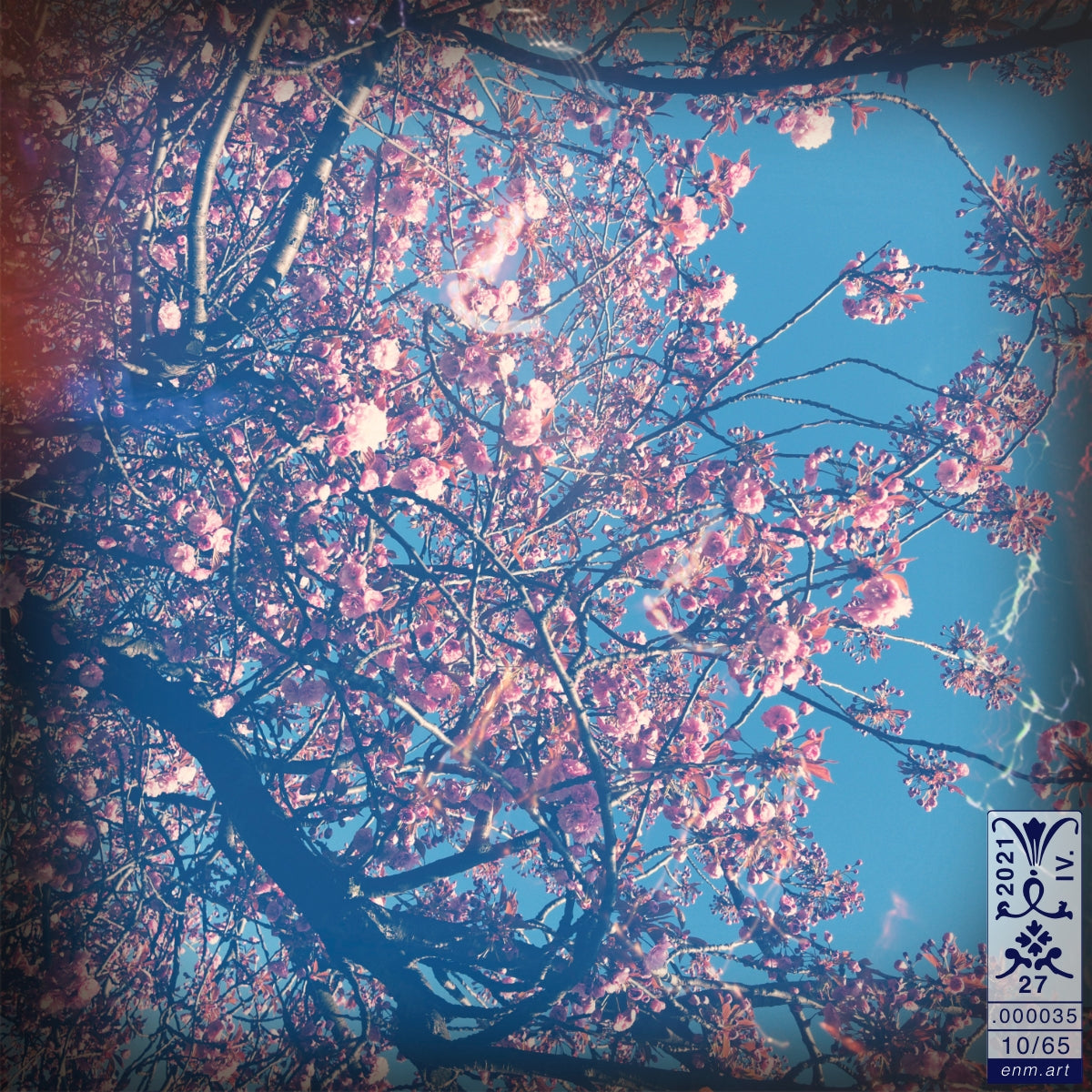 Limited Edition Print Original Art 'Luminous Fragrance 10/65' by Enmempin N. Midelobo
