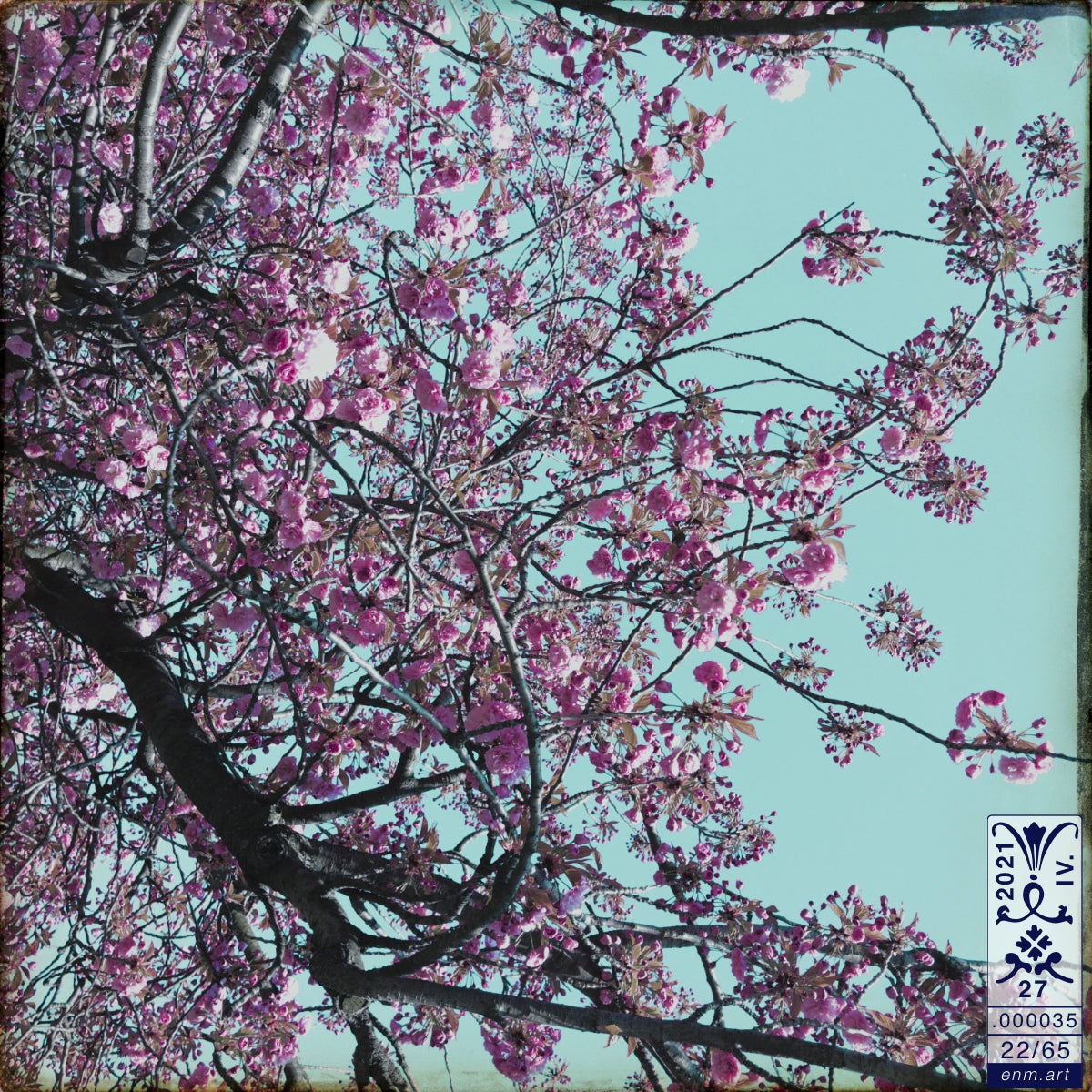 Limited Edition Print Original Art 'Luminous Fragrance 22/65' by Enmempin N. Midelobo