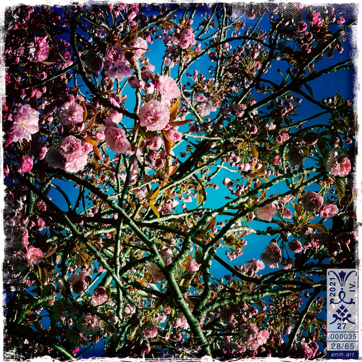 Limited Edition Print Original Art 'Luminous Fragrance 28/65' by Enmempin N. Midelobo