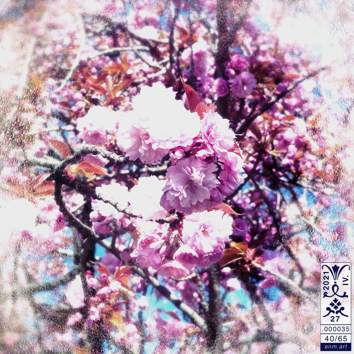 Limited Edition Print Original Art 'Luminous Fragrance 40/65' by Enmempin N. Midelobo