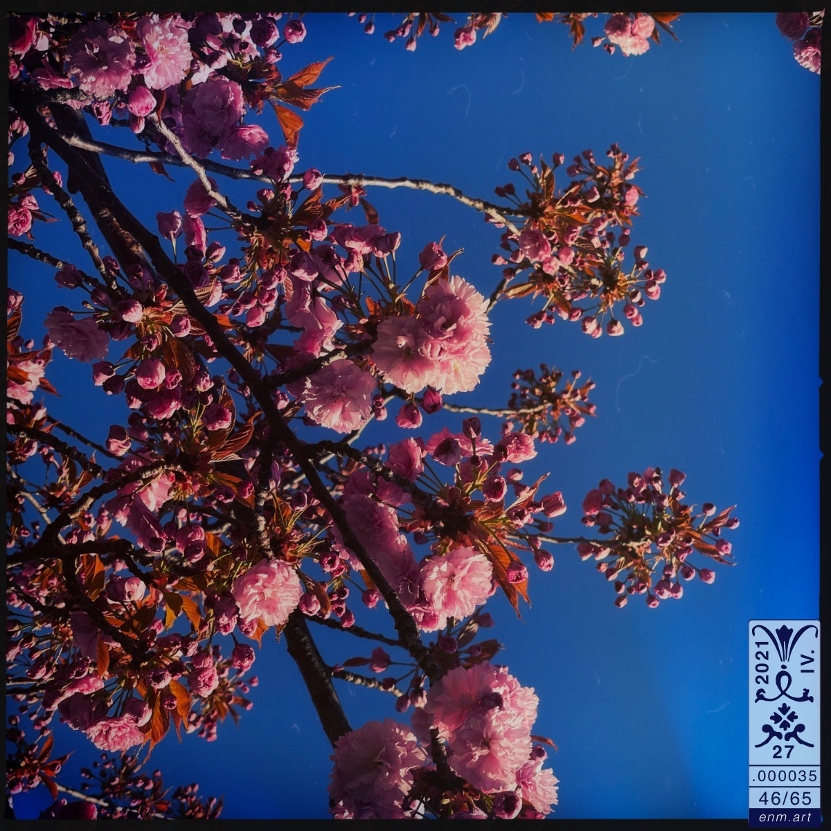 Limited Edition Print Original Art 'Luminous Fragrance 46/65' by Enmempin N. Midelobo
