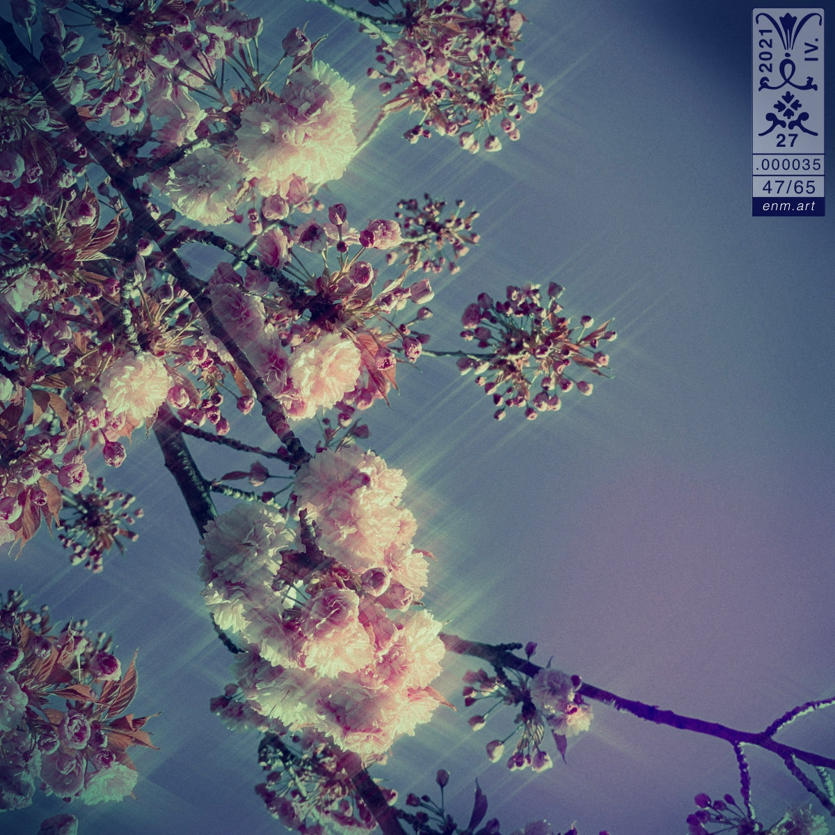 Limited Edition Print Original Art 'Luminous Fragrance 47/65' by Enmempin N. Midelobo