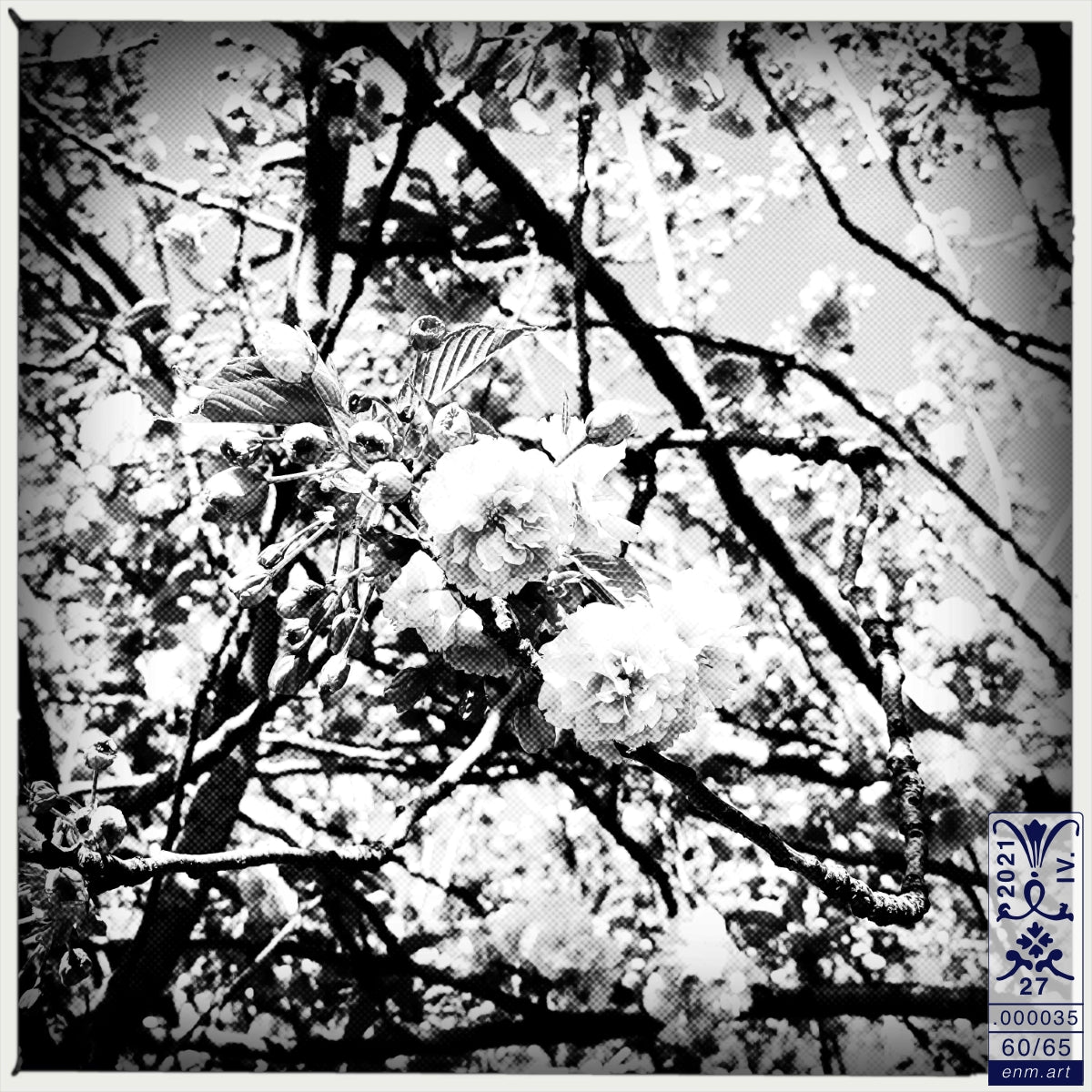 Limited Edition Print Original Art 'Luminous Fragrance 60/65' by Enmempin N. Midelobo