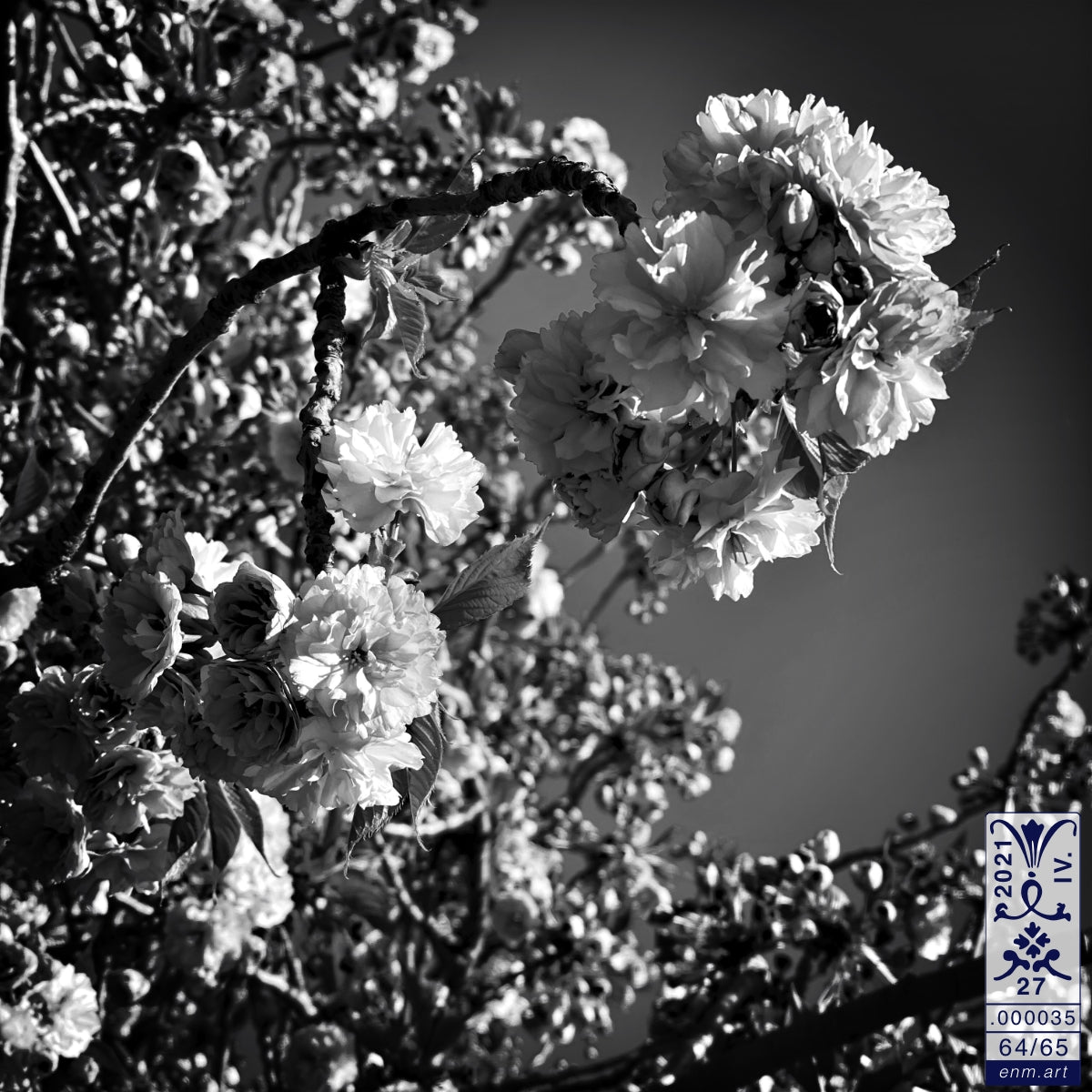 Limited Edition Print Original Art 'Luminous Fragrance 64/65' by Enmempin N. Midelobo
