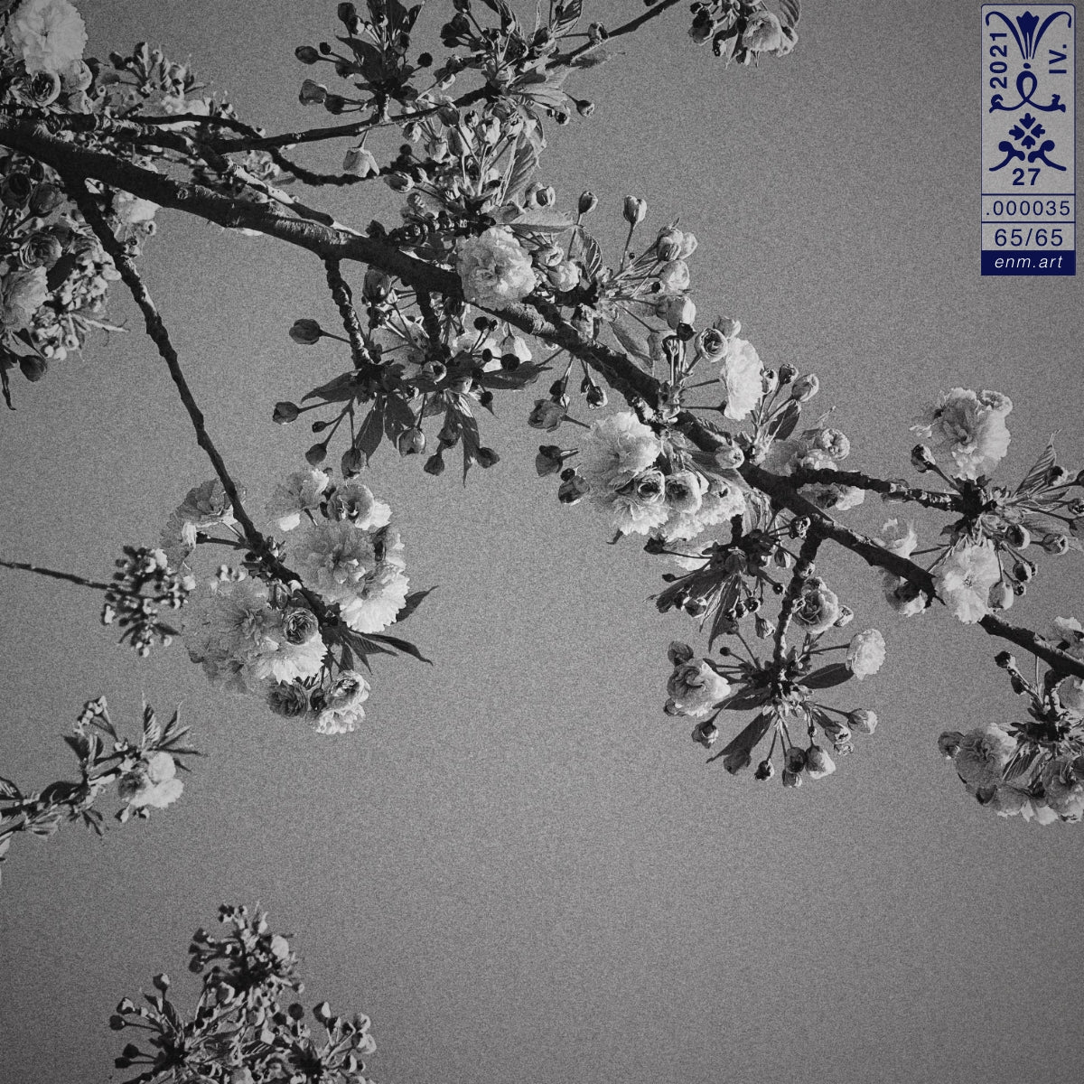 Limited Edition Print Original Art 'Luminous Fragrance 65/65' by Enmempin N. Midelobo