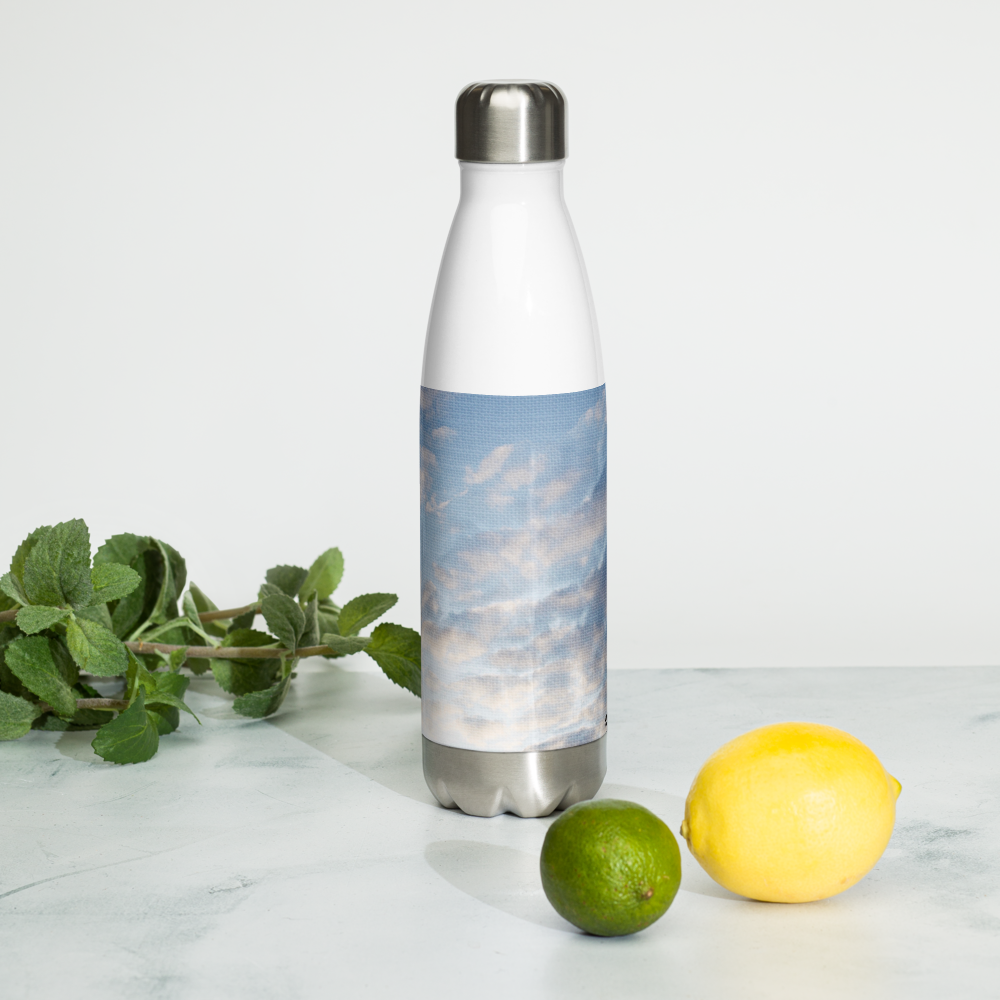 Stainless Steel Water Bottle 'Fractal Skies 24/28' artist-authorised edition of original artwork by Enmempin N. Midelobo