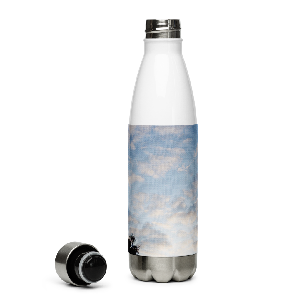 Stainless Steel Water Bottle 'Fractal Skies 24/28' artist-authorised edition of original artwork by Enmempin N. Midelobo