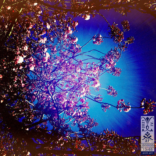 Folding Postcard Square Original Art 'Luminous Fragrance 13/65' by Enmempin N. Midelobo