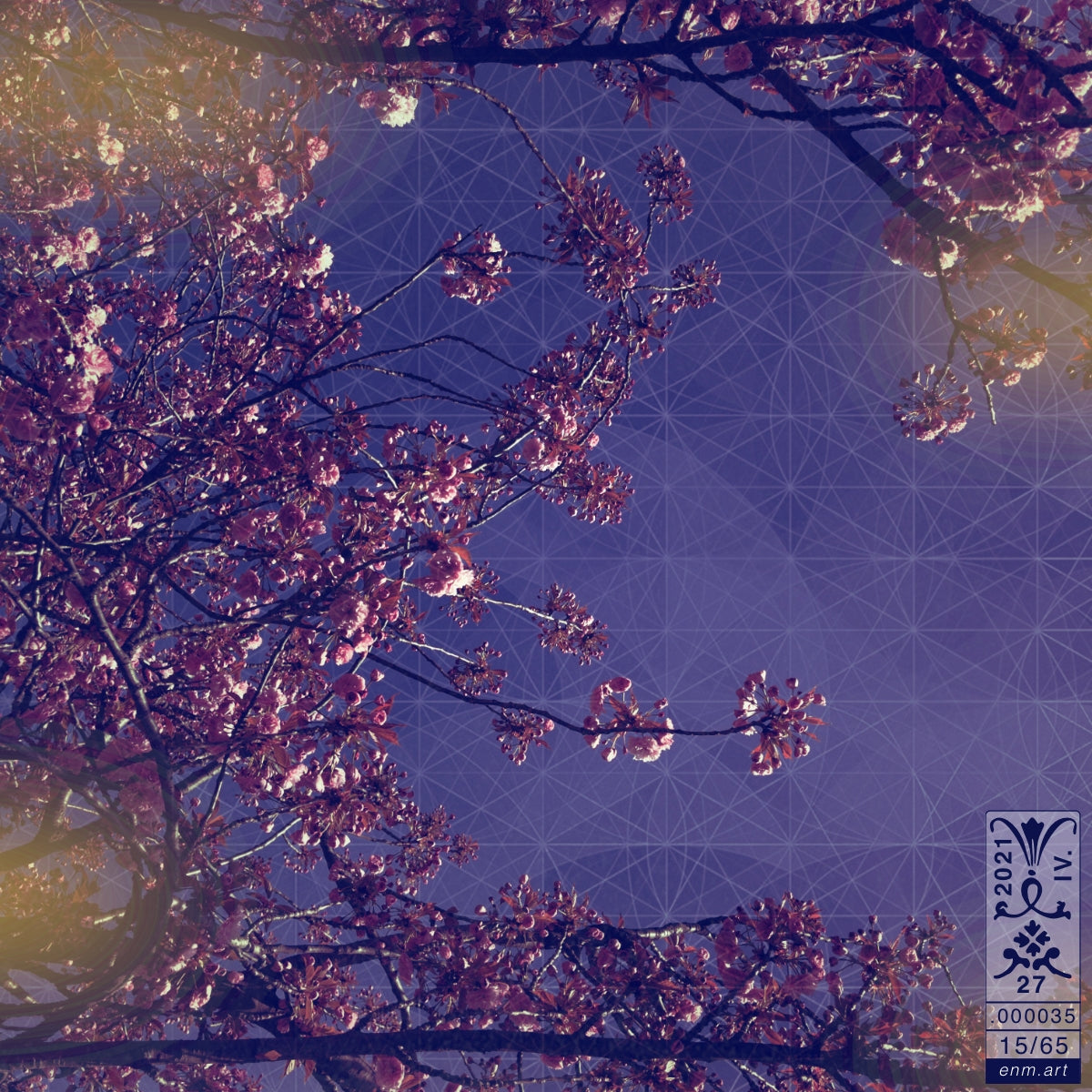 Limited Edition Print Original Art 'Luminous Fragrance 15/65' by Enmempin N. Midelobo