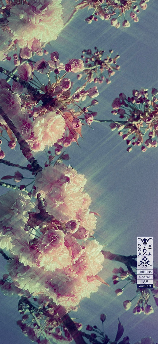 Luminous Fragrance 47/65 iPhone 11 Pro Max Wallpaper, artist-authorised edition by Enmempin N. Midelobo