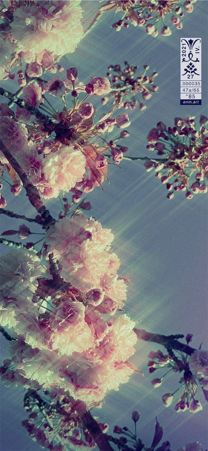 Luminous Fragrance 47/65 iPhone 11 Pro Max Wallpaper, artist-authorised edition by Enmempin N. Midelobo